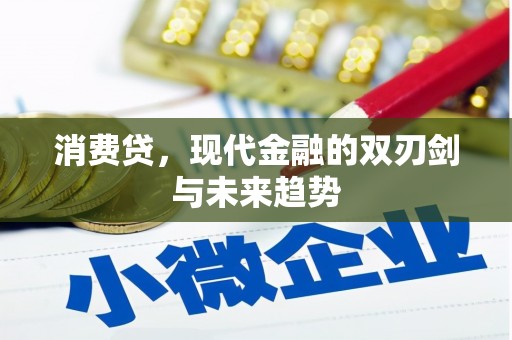 涞水消费贷，现代金融的双刃剑与未来趋势