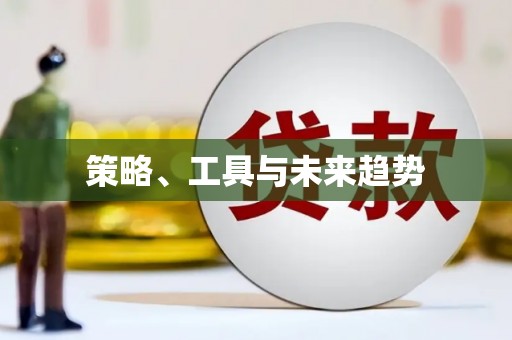 涞水策略、工具与未来趋势