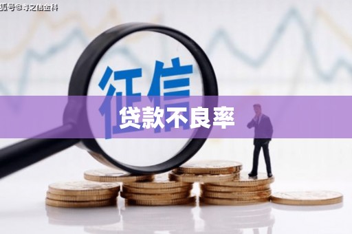 涞水贷款不良率