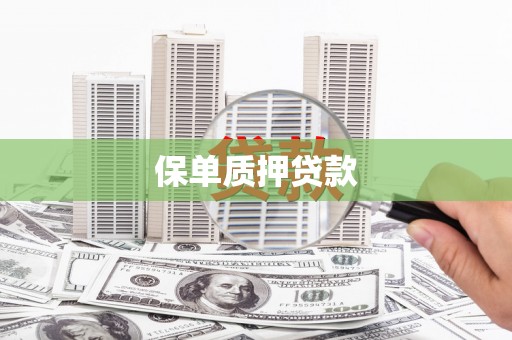涞水保单质押贷款