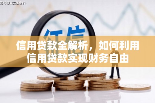 涞水信用贷款全解析，如何利用信用贷款实现财务自由